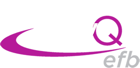 FlyQ EFB Logo